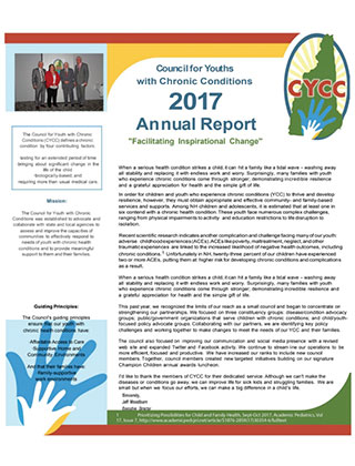 Image of the 2017 Annual Report PDF